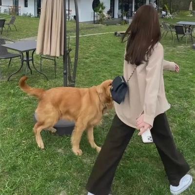读书会